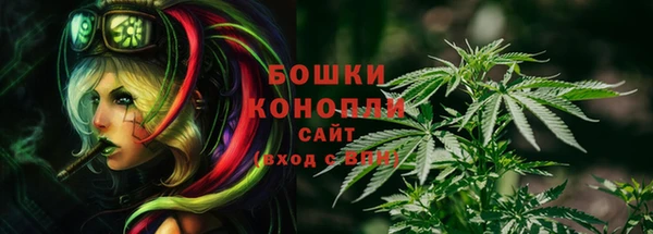 индика Алзамай