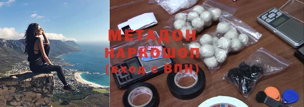 индика Алзамай